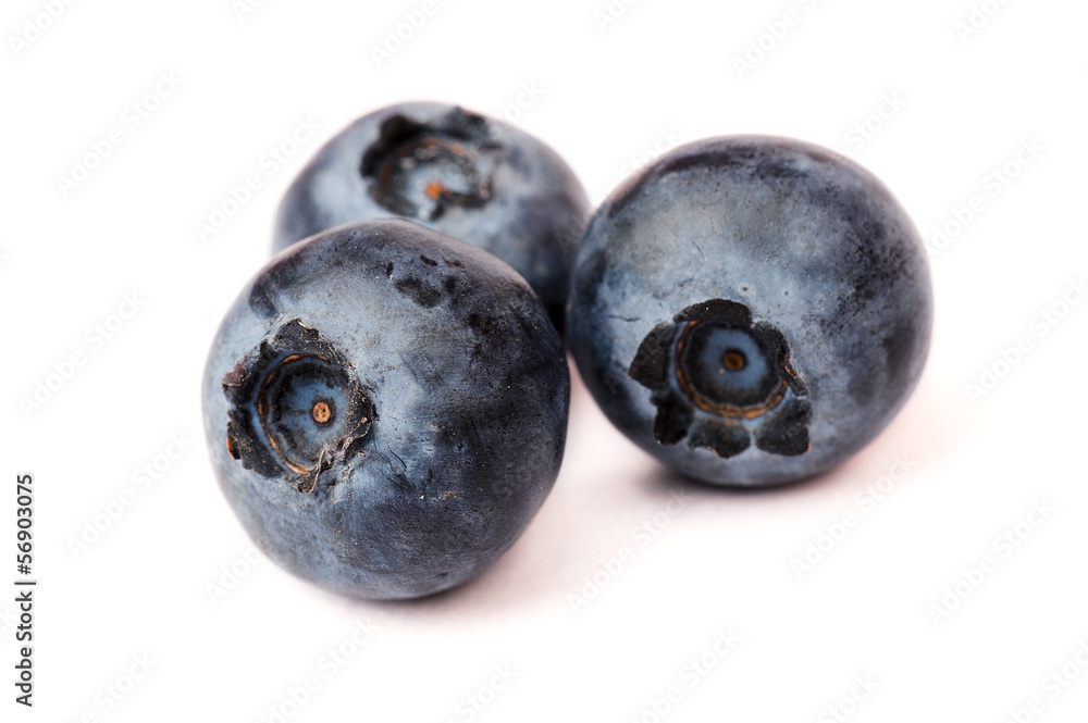 Blueberries isolated on white background Blueberries isolated on white background