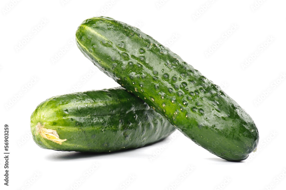 Cucumber Cucumber