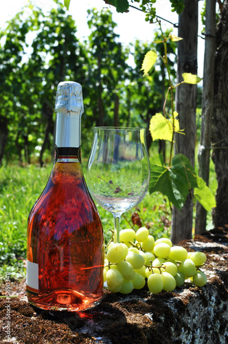 Bottle of champagne and grapes against vineyards