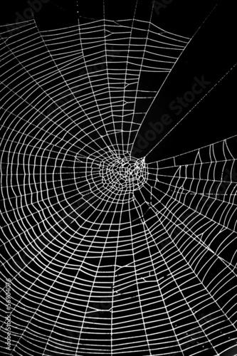 Spider web pattern for halloween scary spiderweb
