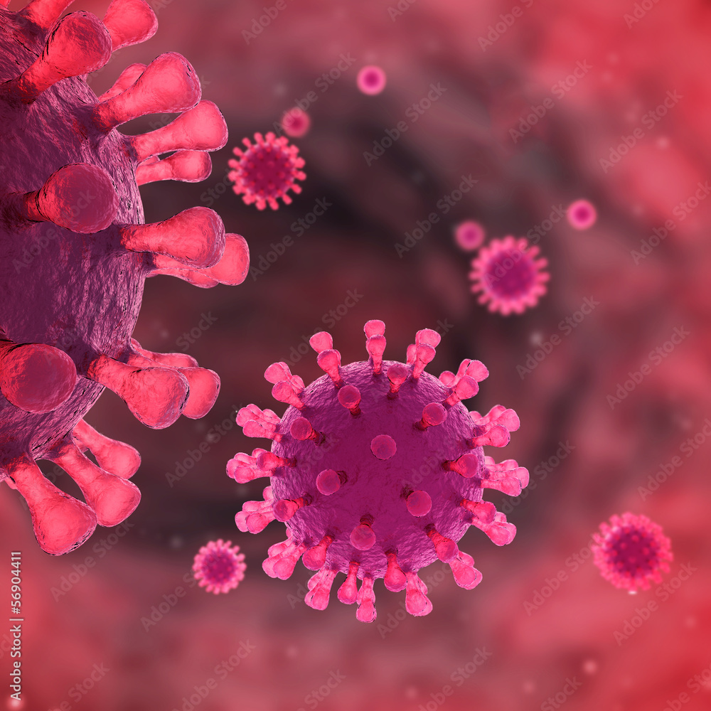 Virus and Bacteria Cells Virus and Bacteria Cells