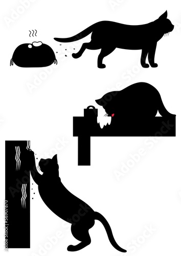 猫の問題行動