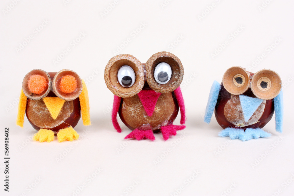 Fototapeta premium 3 Kastanien Eulen