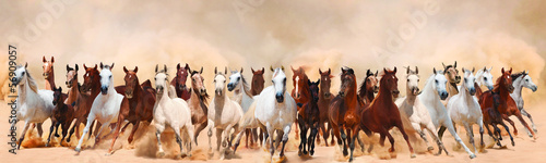 Horses herd running in the sand storm