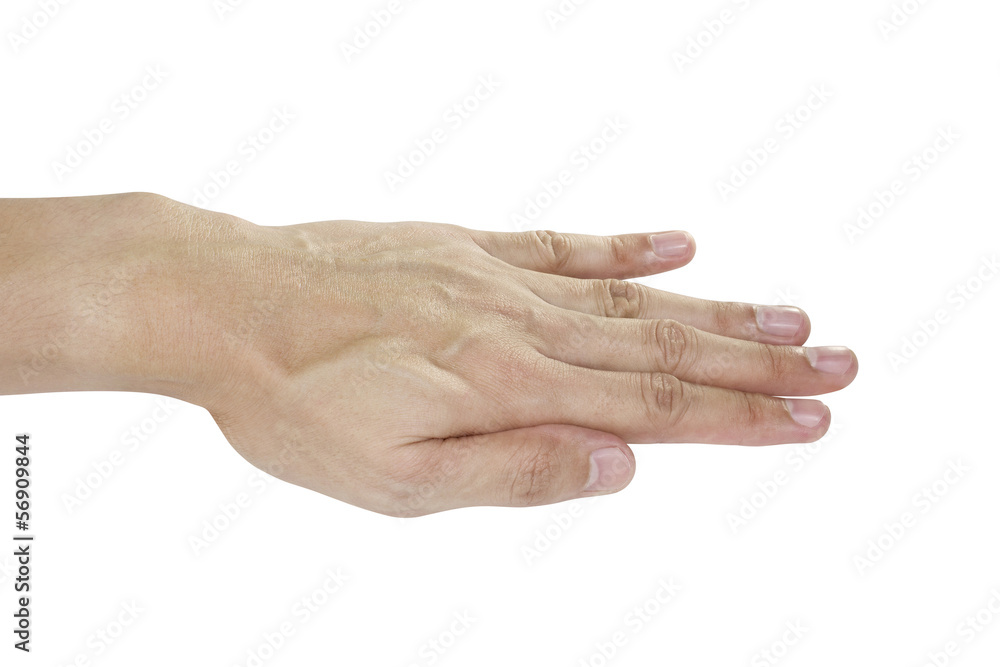 isolated hand in white background isolated hand in white background