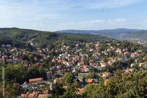 View from Wernigerode Castle, Germany