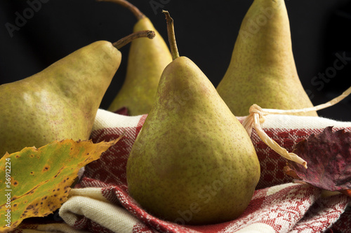 Bosc Pears Themed for Autumn photo