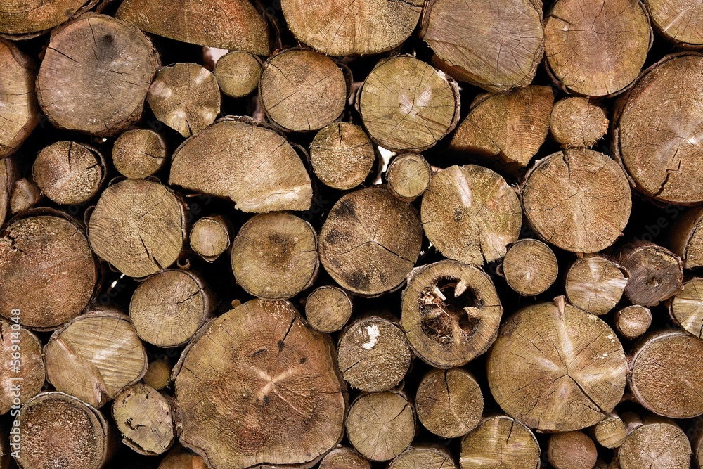 Log Pile Log Pile
