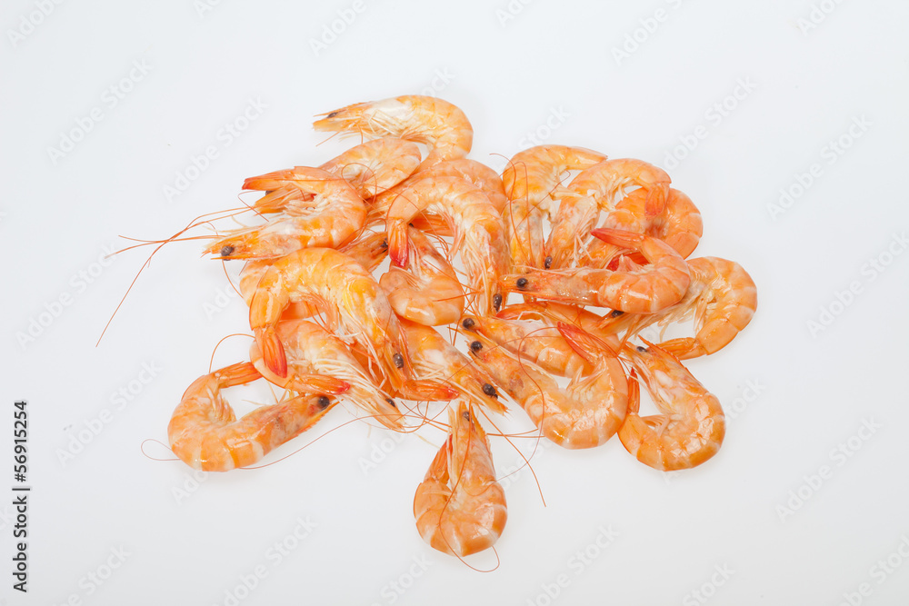 fresh shrimp isolated on a white background fresh shrimp isolated on a white background