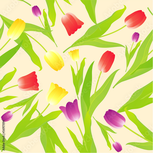 Tulips. Seamless vector background.