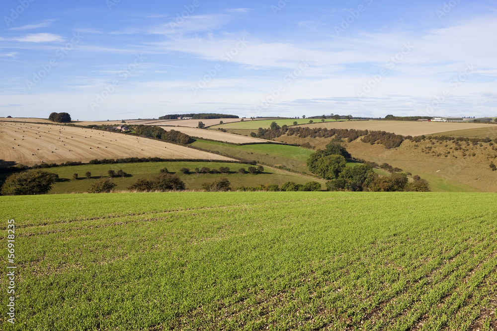 yorkshire wolds agriculture