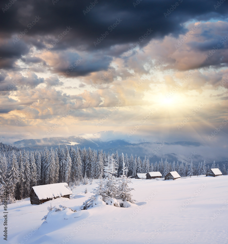 Winter in the mountains Winter in the mountains