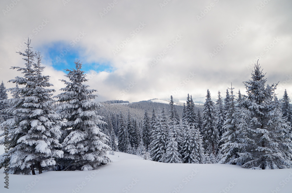 Winter View Winter View