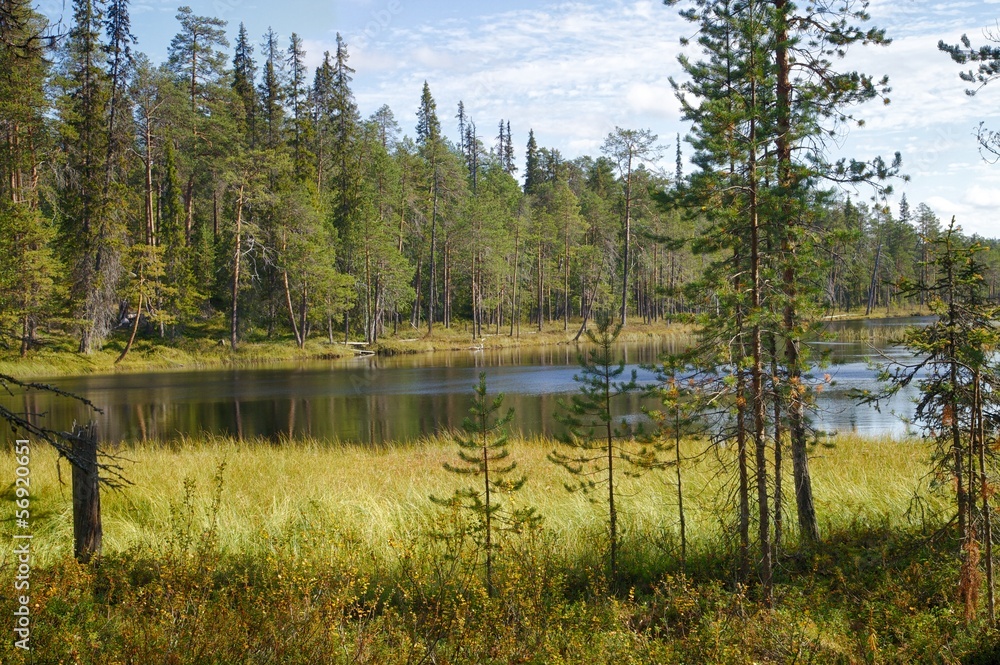 Obraz premium Finnish Landscape