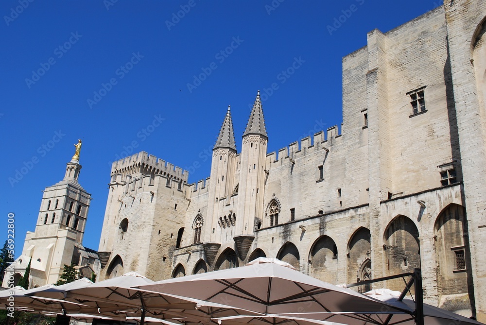 Popes Palace and Notre Dame church in Avignon, Provence, France