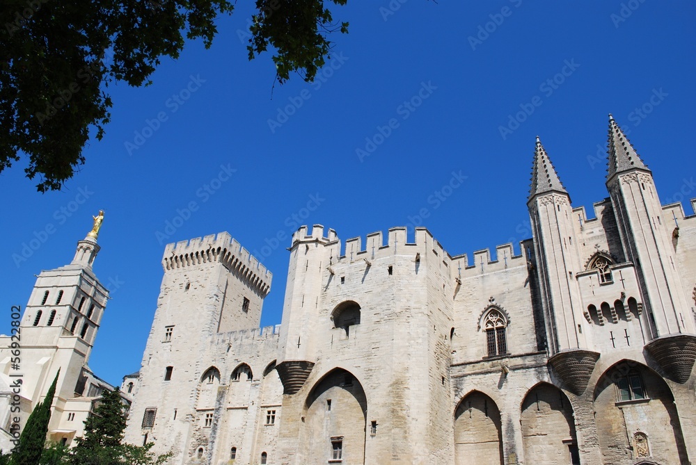 Popes Palace and Notre Dame church in Avignon, Provence, France