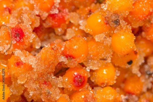 sea-buckthorn berries with sugar as a background