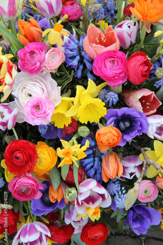 Spring flowers in bright colors