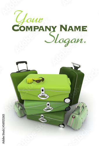 Elegant green luggage kit
