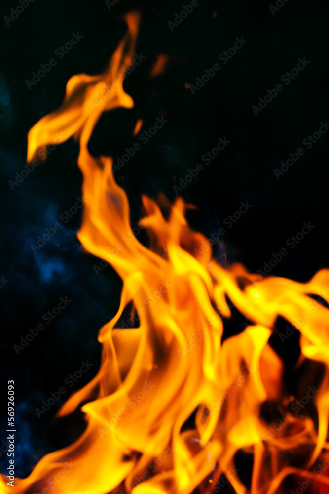 Fire flames on a black background Fire flames on a black background
