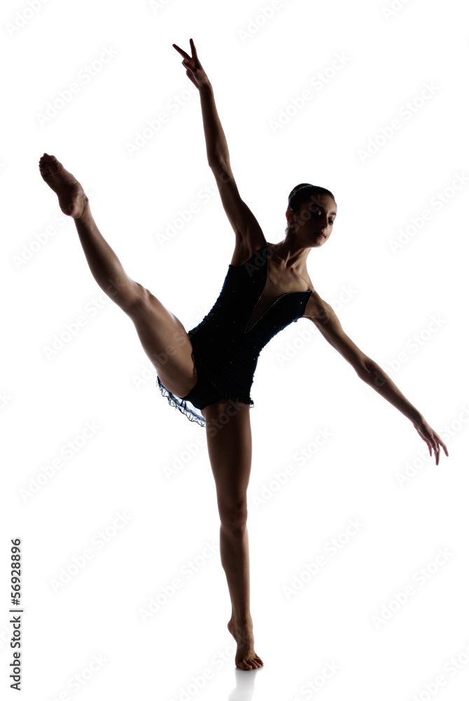 Obraz premium Female ballet dancer
