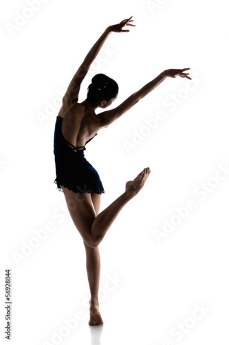 Print op canvas Female ballet dancer