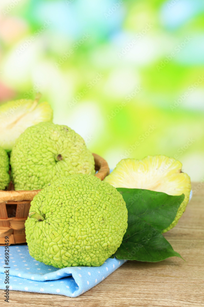 Osage Orange fruits (Maclura pomifera) in basket, Osage Orange fruits (Maclura pomifera) in basket,