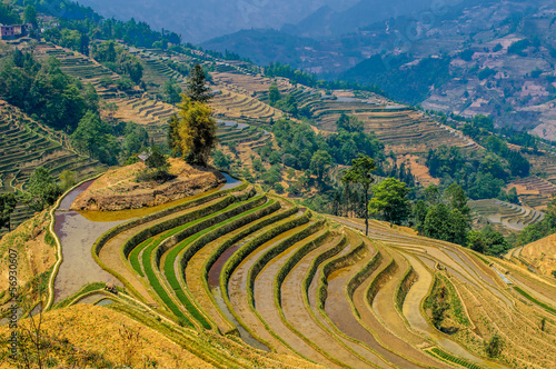 Rice terraces of Yuanyang, Yunnan, China © javarman