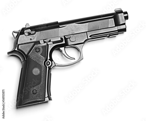 Tableau sur toile gun
