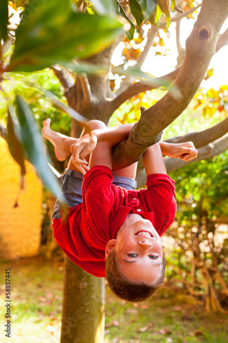 Boy hanging from a tree branch