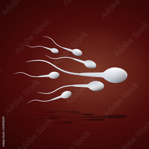 Vector Sperm