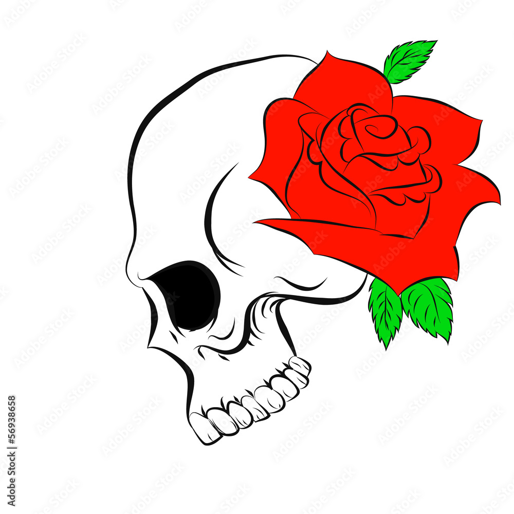 Pirate skull and one rose Stock Illustration | Adobe Stock