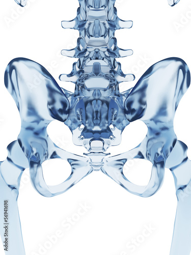 3d rendered illustration of a glass skeleton photo