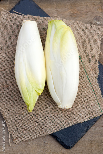 Fresh chicory witloof heads in rustic setting with wooden backgr