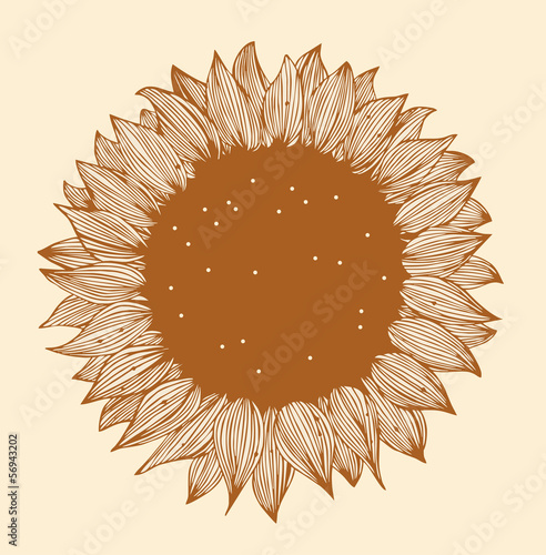 Fototapeta Naklejka Na Ścianę i Meble -  Sunflower image