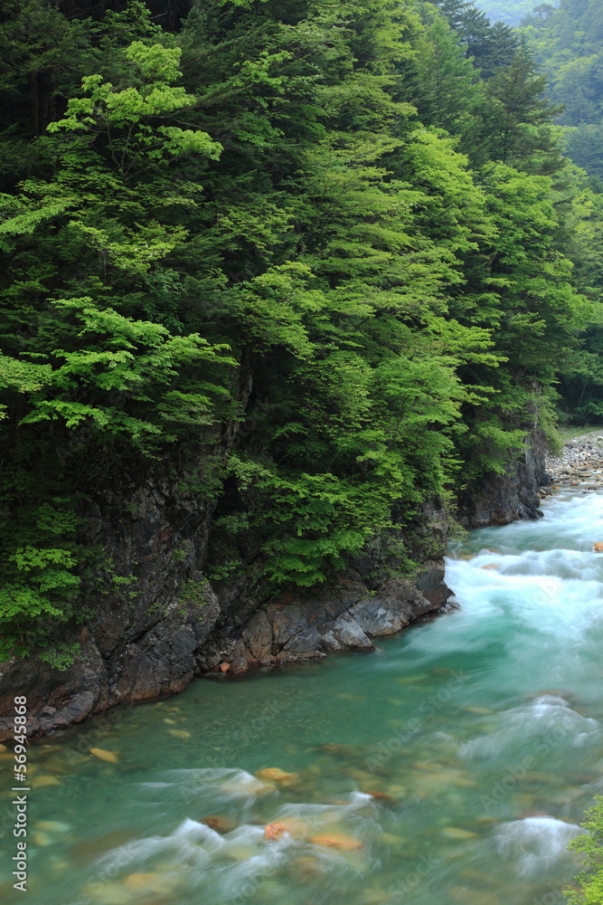 新緑の梓川渓谷 新緑の梓川渓谷
