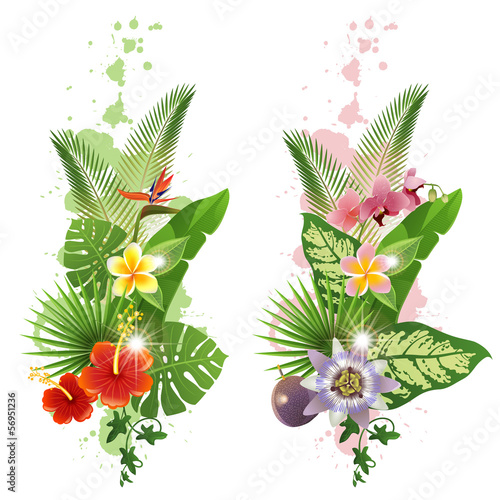 Fototapeta Naklejka Na Ścianę i Meble -  Tropical plants