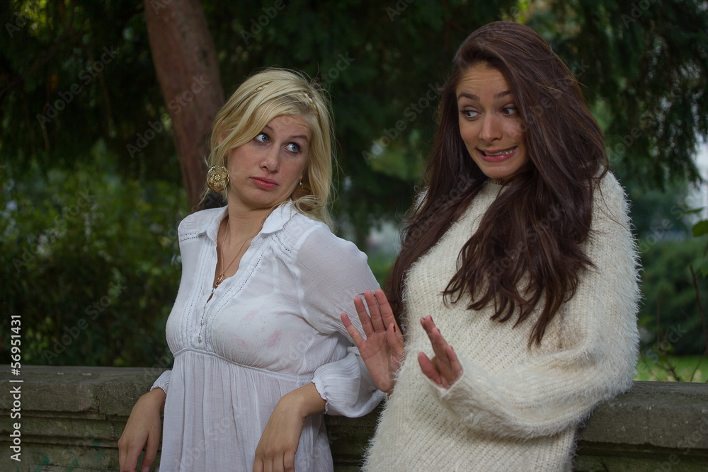 Fototapeta premium best friends in an argument