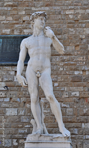 David in Florenz © Fotolyse