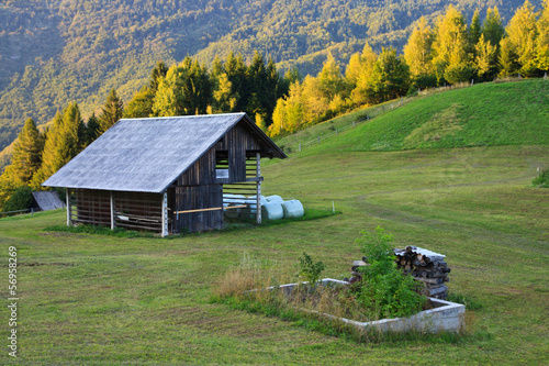 Meadow in Slovenia