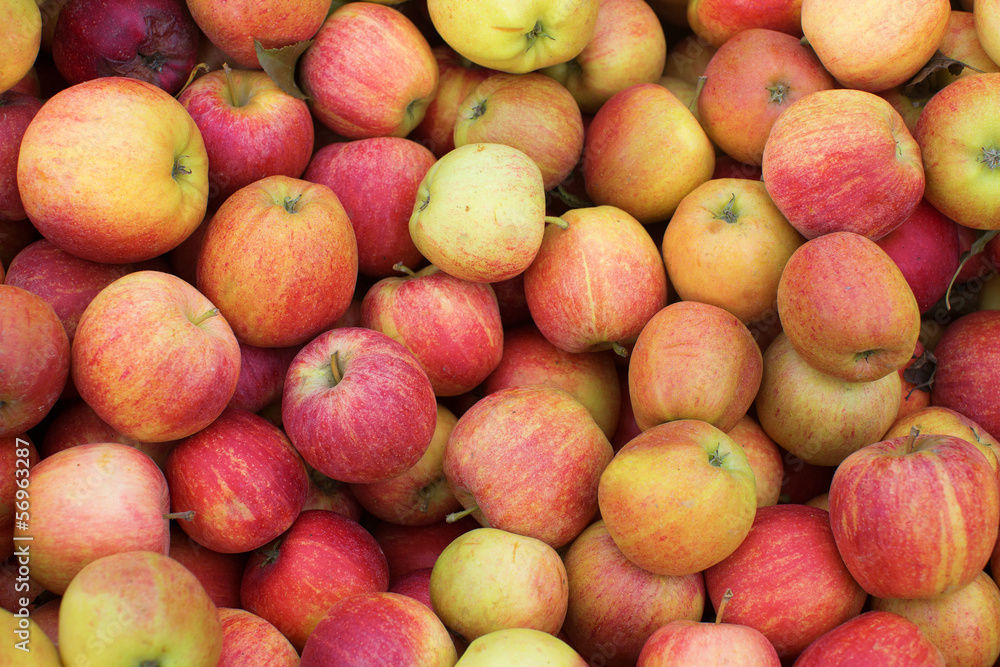 Fresh organic apple background Fresh organic apple background