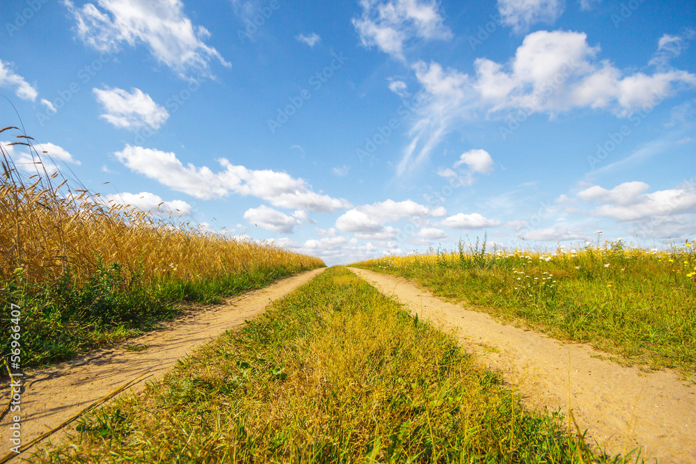 Fototapeta premium road country