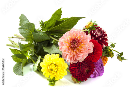 Bouquet dahlia's
