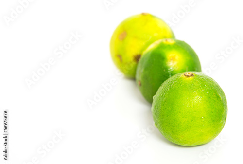 Lime over white background
