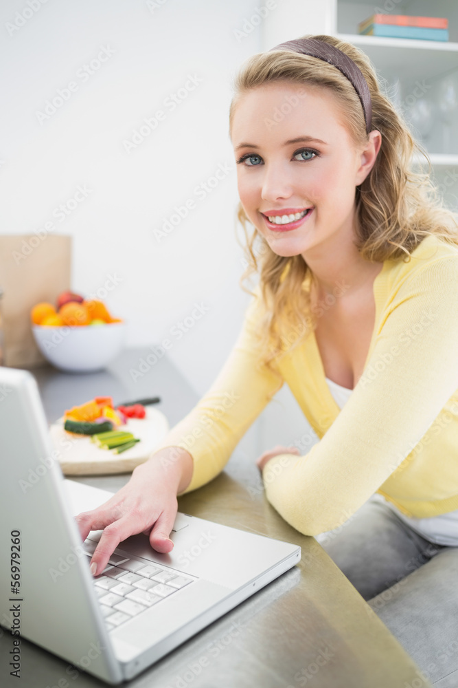 Cheerful smiling cute blonde using laptop Cheerful smiling cute blonde using laptop