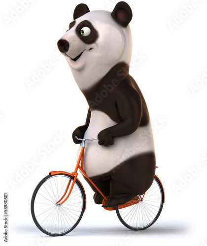 Panda photo