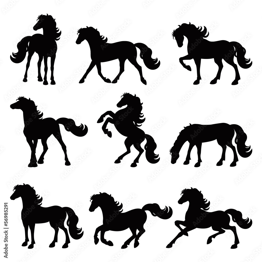 Fototapeta Horses silhouette collection, isolated icon set