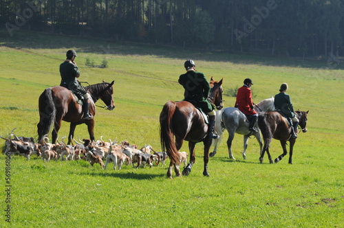 Jagdreiten