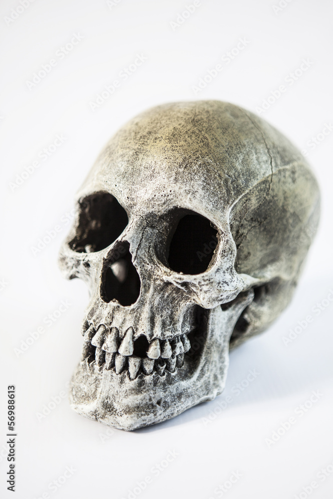 Obraz premium Scary Human Skull