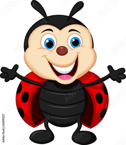 Happy ladybug cartoon